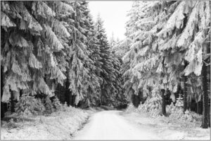 winter-walking-tour