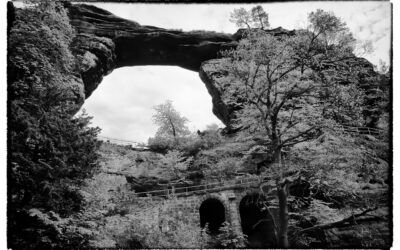 Sächsische und Böhmische Schweiz