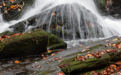 Harz Tour